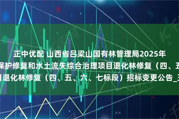 正中优配 山西省吕梁山国有林管理局2025年吕梁山（临汾片）生态保护修复和水土流失综合治理项目退化林修复（四、五、六、七标段）招标变更公告_王先生